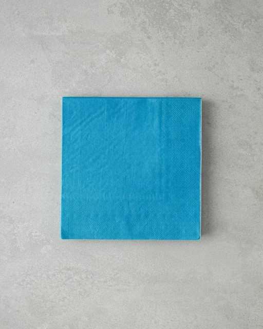 Carnival Салфетки бумажные 33х33 см 20 шт