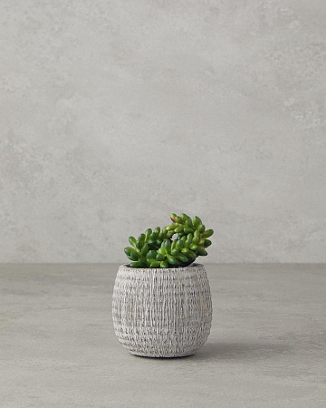 Cactus Love Artificial flower in a pot 12.5 cm
