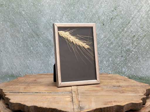 Bloom Frame 13х18 cm