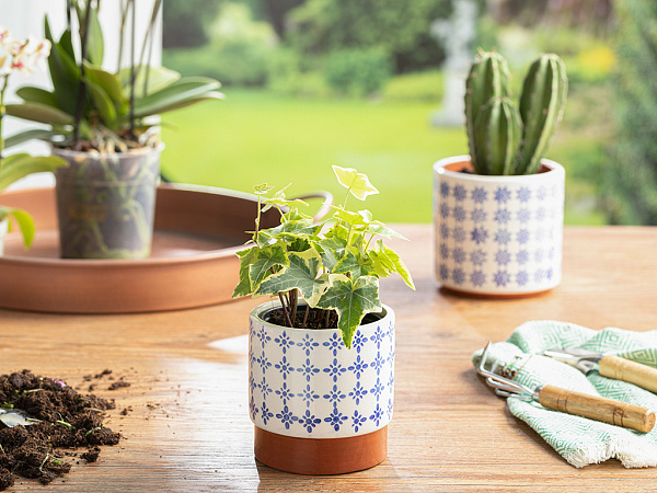 Martin Flower pot 9.8х9.8х10 cm
