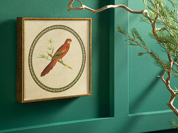 Parrot Картина 20х20 см