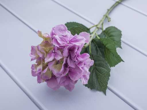 Hydrangea Artificial flower 73 cm