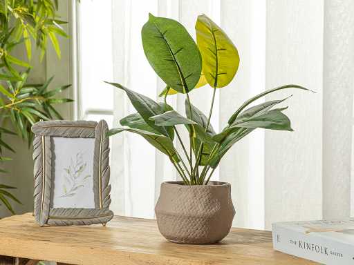 Ficus Штучна квітка у горщику 14х43 см