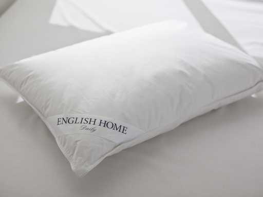 Luxury Goose down pillow 50х70 cm
