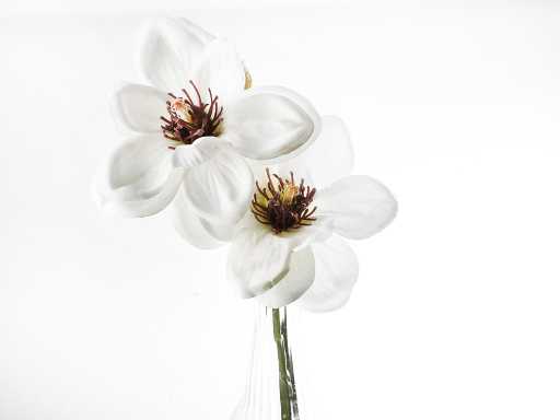 Magnolia Artificial flower 41 cm