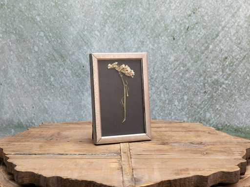 Bloom Frame 10х15 cm