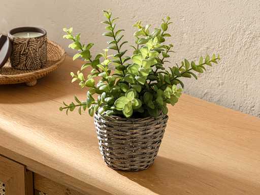 Duke Artificial flower in a pot 30х25 cm
