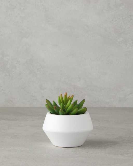 Agata Artificial flower in a pot 10 cm