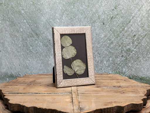 Claudia Frame 10х15 cm