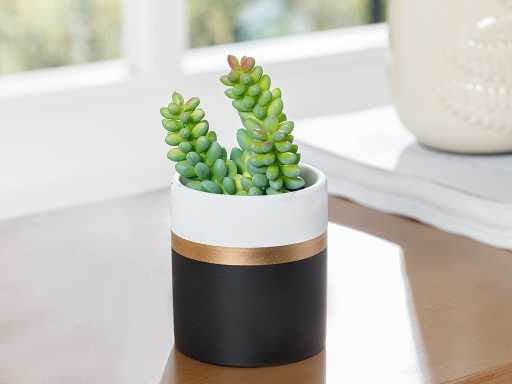 Crassula Life Искусственные цветы в горшке 8х8х13 см