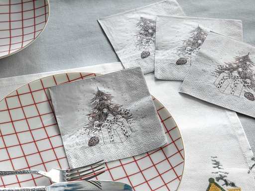 Winter Conservatory Салфетки бумажные 25х25 см 20 шт