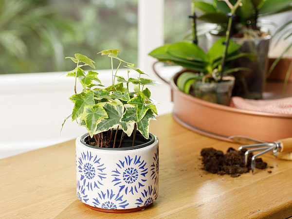 Creative Flower pot 13х13х13 cm