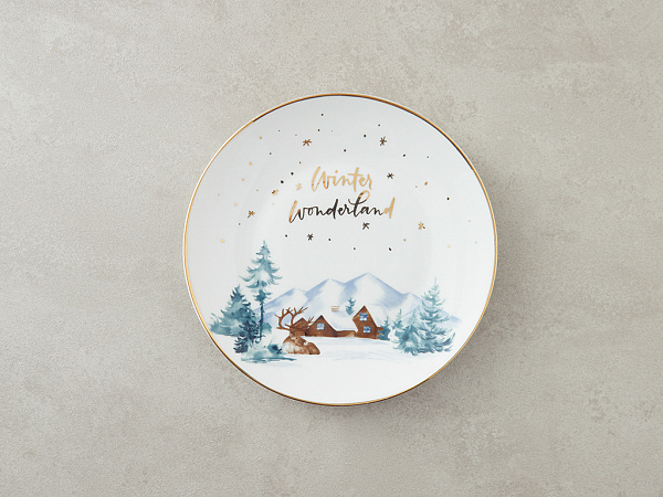 Winter Wonderland Plate for cake 21 cm