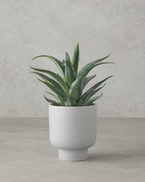 Aloevera Artificial flower in a pot 21 cm