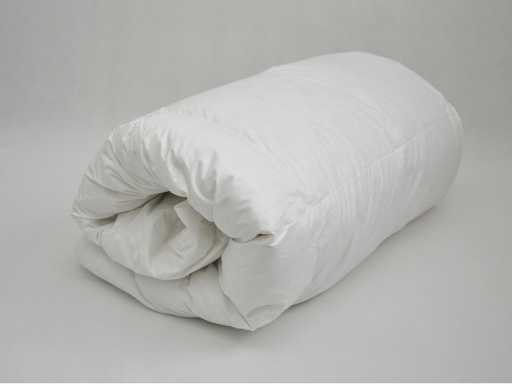 Winter Quilt with goose down 155х215 cm
