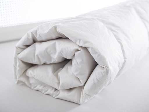 Gaynor Quilt with goose down 195х215 cm