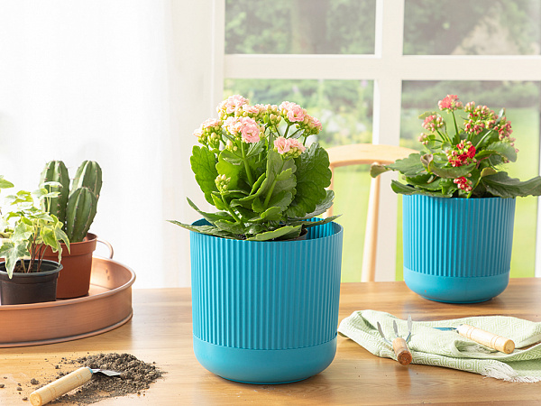 Bloom Flower pot 18х18х16 cm