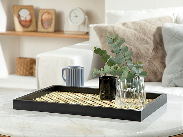 Hazeran Tray 31х46 cm