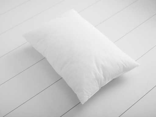 pillow 35x50 cm