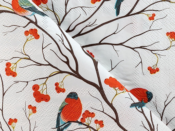Birds Paper napkins 22 pcs 33x33 cm