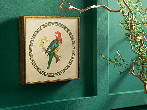 Parrot Картина 20х20 см