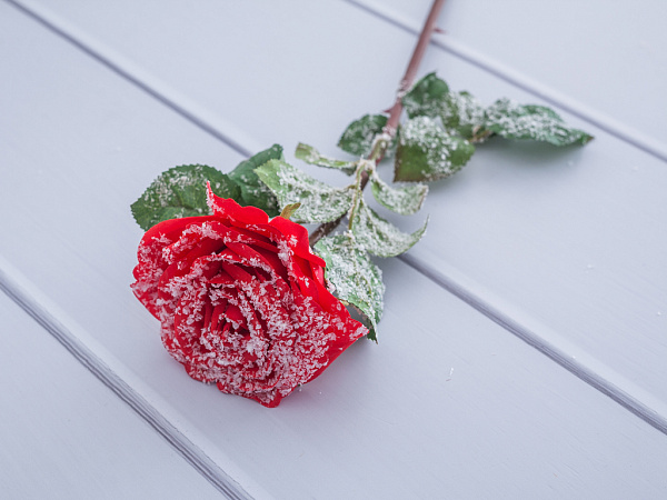 Rose With Snow Искусственный цветок 43 см