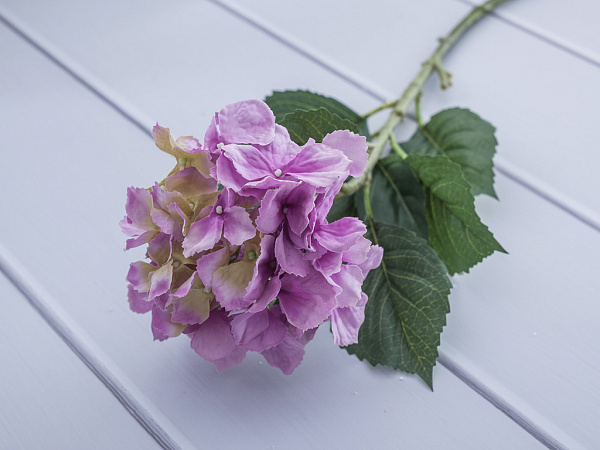 Hydrangea Artificial flower 73 cm