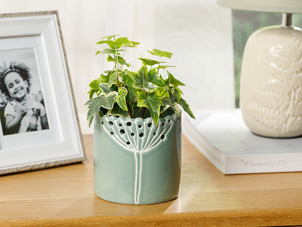 Dandelion Горшок для цветов 15.8х15.8х15.5 см
