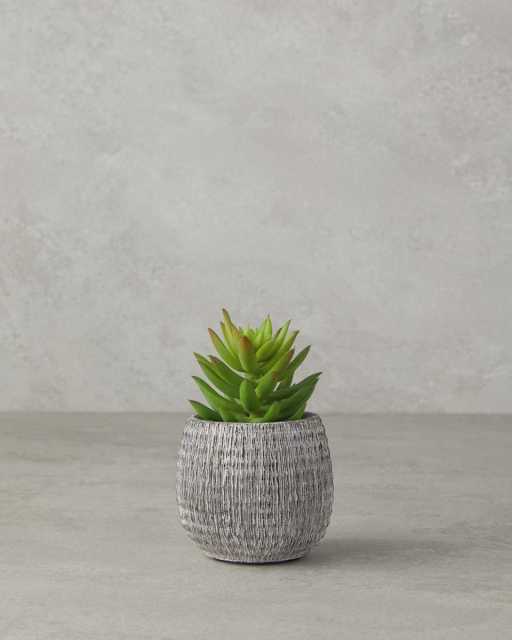 Crassula Artificial flower in a pot 12.5 cm