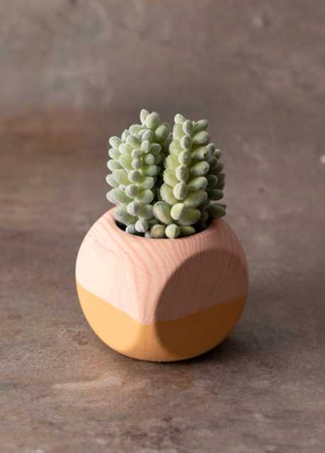 Crassula Искусственный цветок 7.5х7.5х14 см