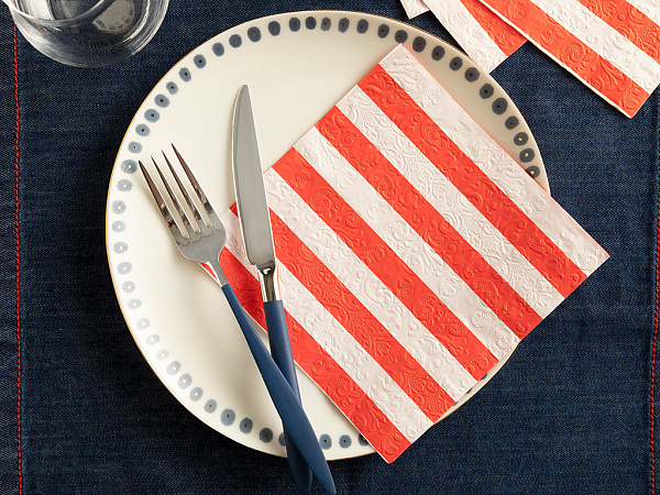 Big Stripes Салфетки бумажные 33х33 см 20 шт