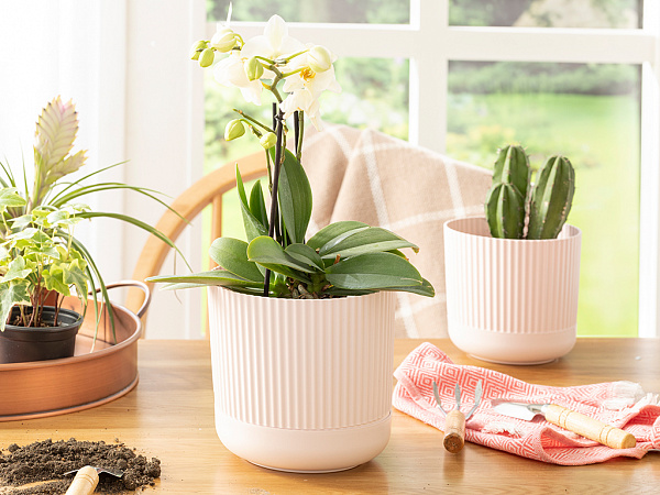 Bloom Flower pot 16х16х15 cm