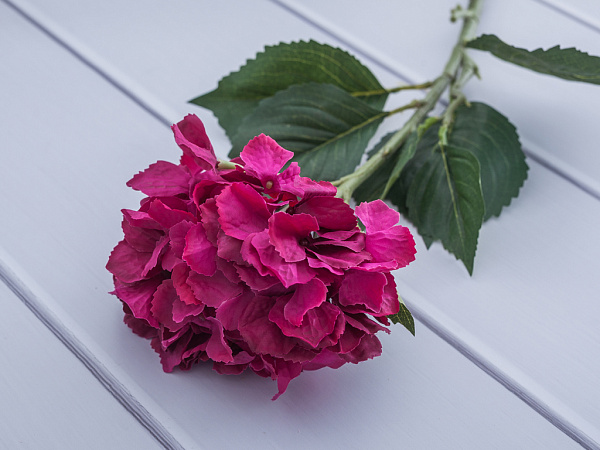Hydrangea Искусственный цветок 73 см