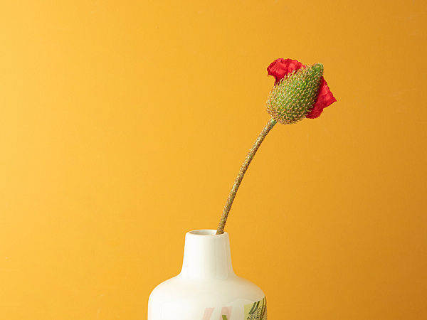 Wild Flower Artificial flower 73 cm